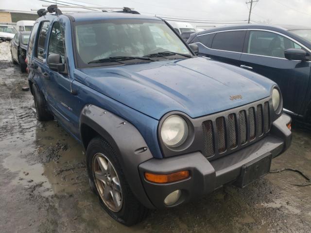 JEEP LIBERTY 2003 1j4gl48k43w706757