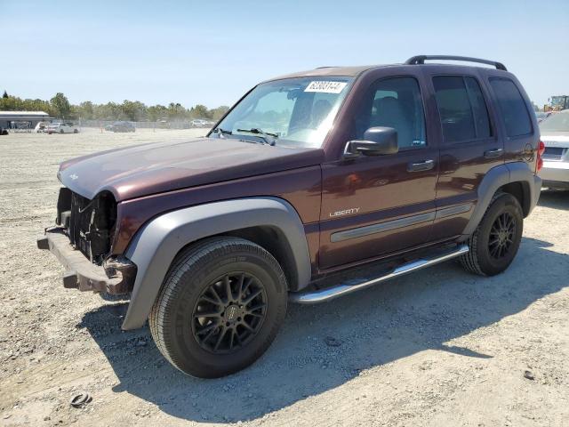 JEEP LIBERTY 2004 1j4gl48k44w145610