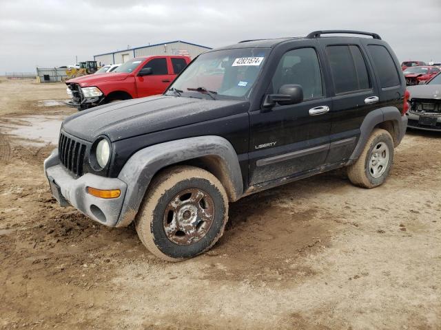 JEEP LIBERTY 2004 1j4gl48k44w150595