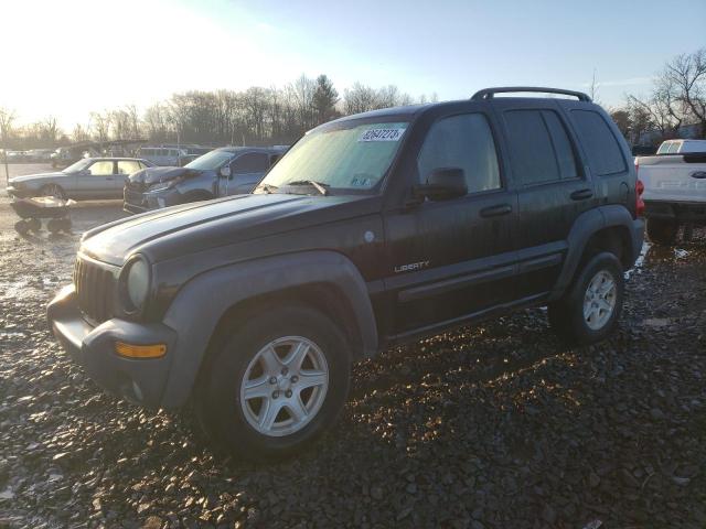 JEEP LIBERTY 2004 1j4gl48k44w179790