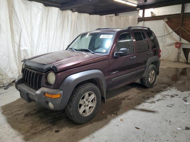 JEEP LIBERTY 2004 1j4gl48k44w218510