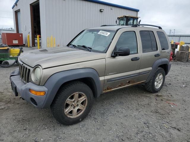 JEEP LIBERTY 2004 1j4gl48k44w227899