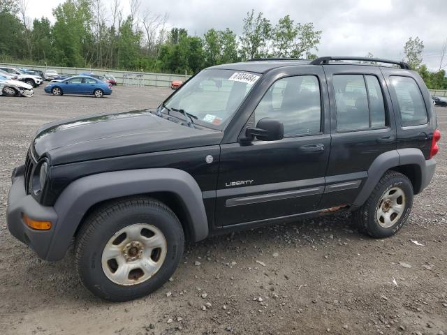 JEEP NULL 2004 1j4gl48k44w284345