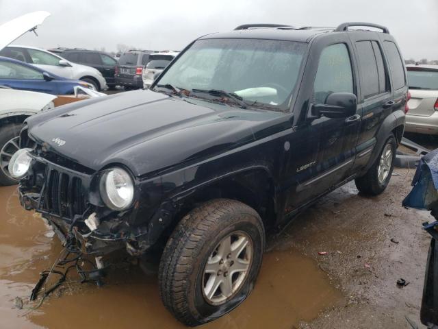 JEEP LIBERTY 2004 1j4gl48k44w294308