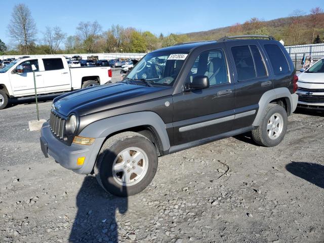 JEEP LIBERTY 2005 1j4gl48k45w572223