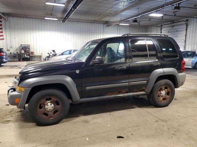 JEEP LIBERTY 2005 1j4gl48k45w572769