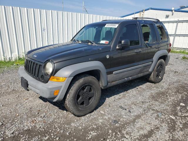 JEEP LIBERTY SP 2005 1j4gl48k45w605236