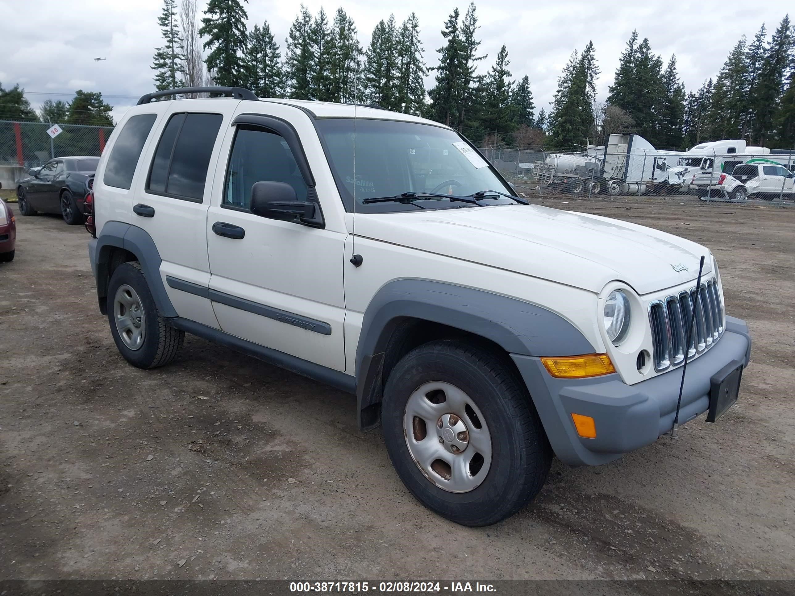 JEEP LIBERTY (NORTH AMERICA) 2005 1j4gl48k45w692250