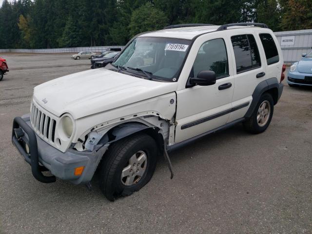 JEEP LIBERTY SP 2007 1j4gl48k47w550953