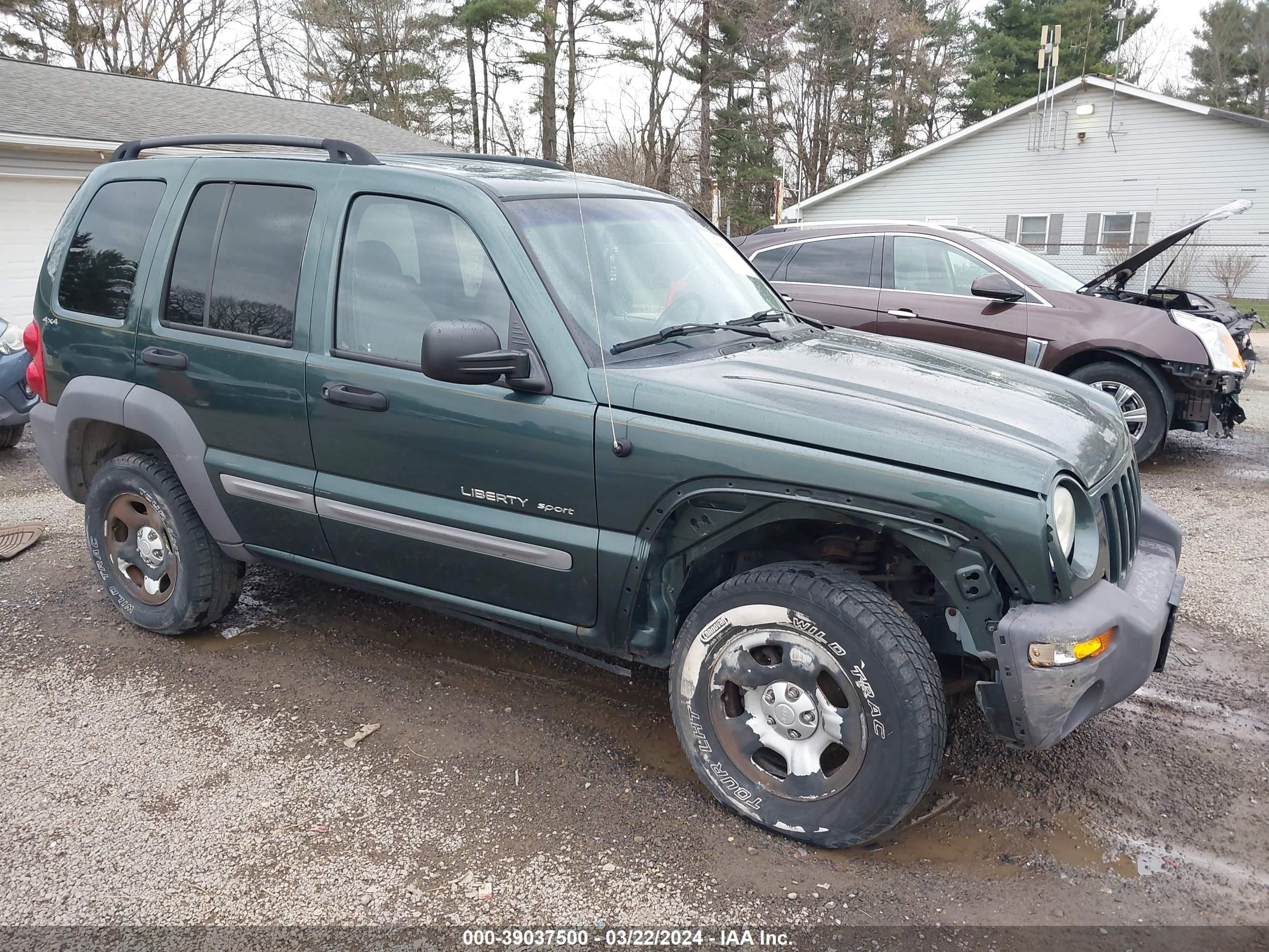 JEEP LIBERTY (NORTH AMERICA) 2002 1j4gl48k52w120681