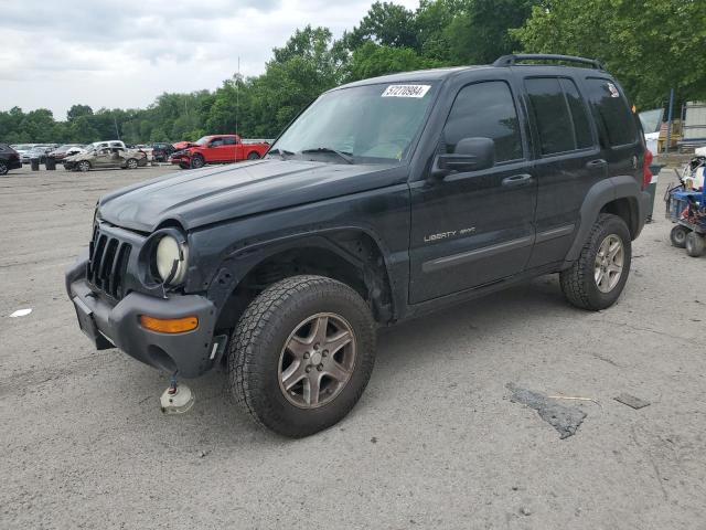 JEEP LIBERTY 2002 1j4gl48k52w296646