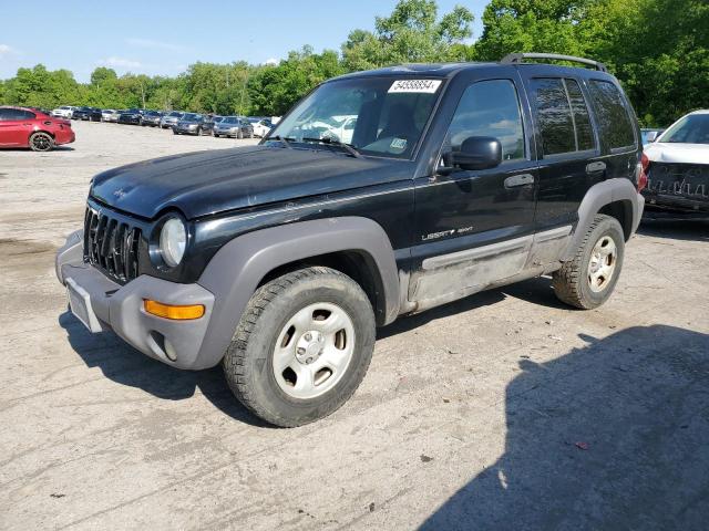 JEEP LIBERTY 2002 1j4gl48k52w335493