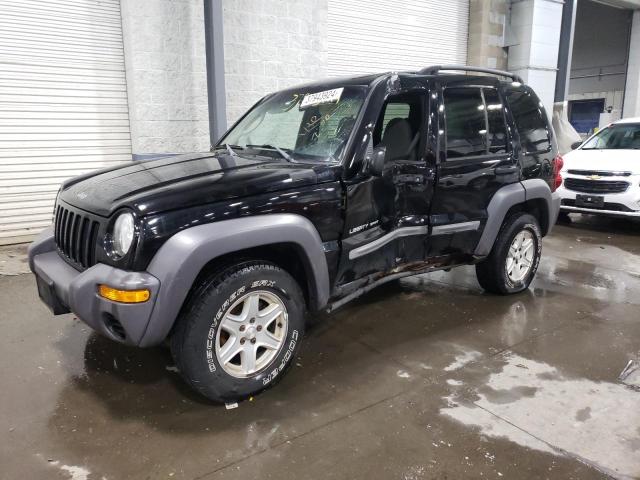 JEEP LIBERTY 2003 1j4gl48k53w579047