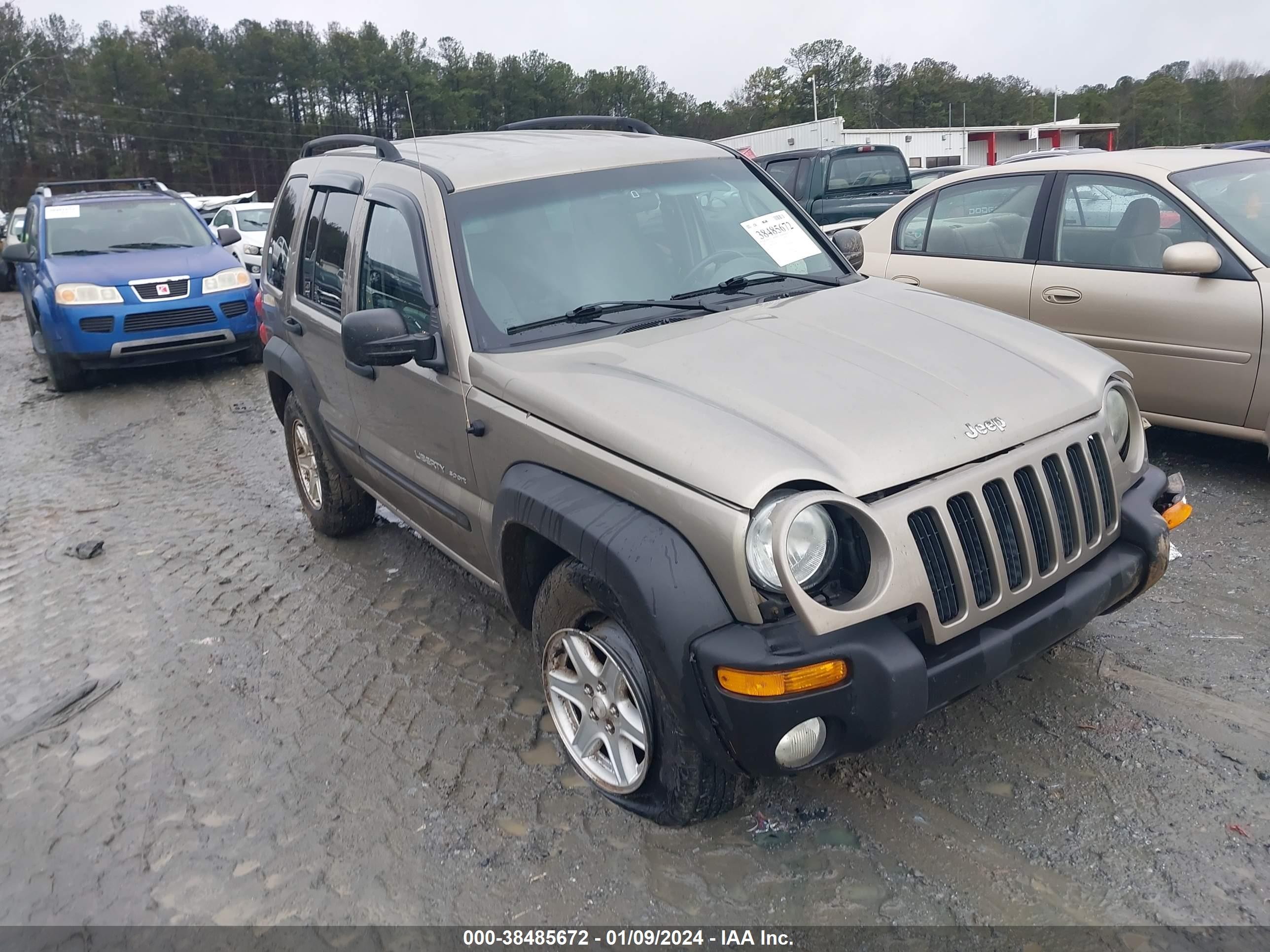 JEEP LIBERTY (NORTH AMERICA) 2003 1j4gl48k53w639750