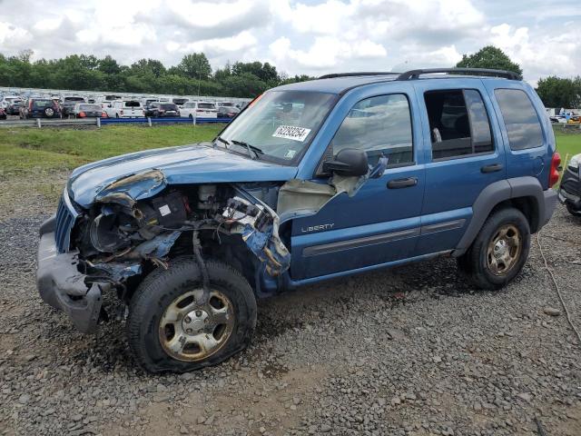 JEEP LIBERTY 2004 1j4gl48k54w102880