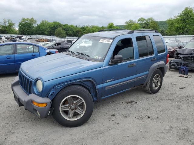 JEEP LIBERTY 2004 1j4gl48k54w102961