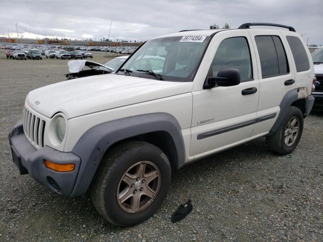 JEEP LIBERTY 2004 1j4gl48k54w136480