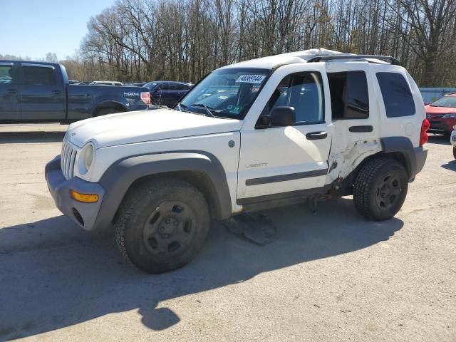 JEEP LIBERTY 2004 1j4gl48k54w289764