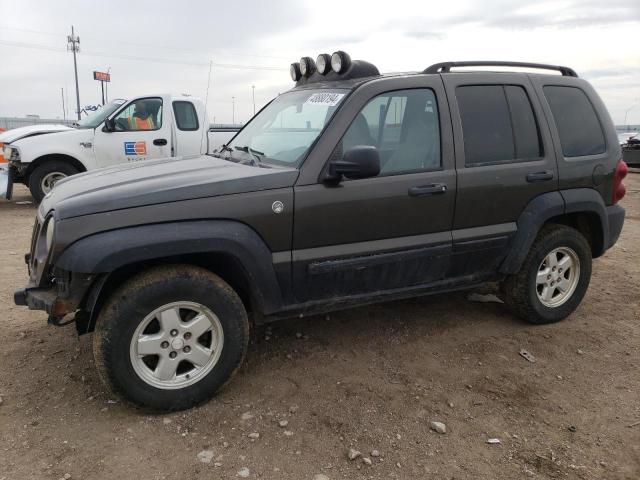 JEEP LIBERTY 2005 1j4gl48k55w602488