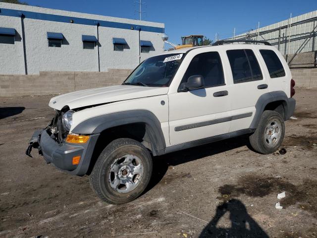 JEEP LIBERTY SP 2006 1j4gl48k56w271025