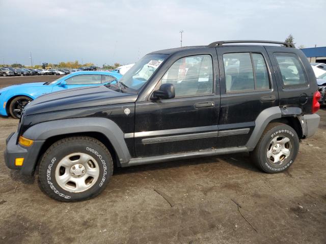 JEEP LIBERTY 2007 1j4gl48k57w573674