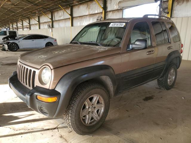 JEEP LIBERTY 2002 1j4gl48k62w116526