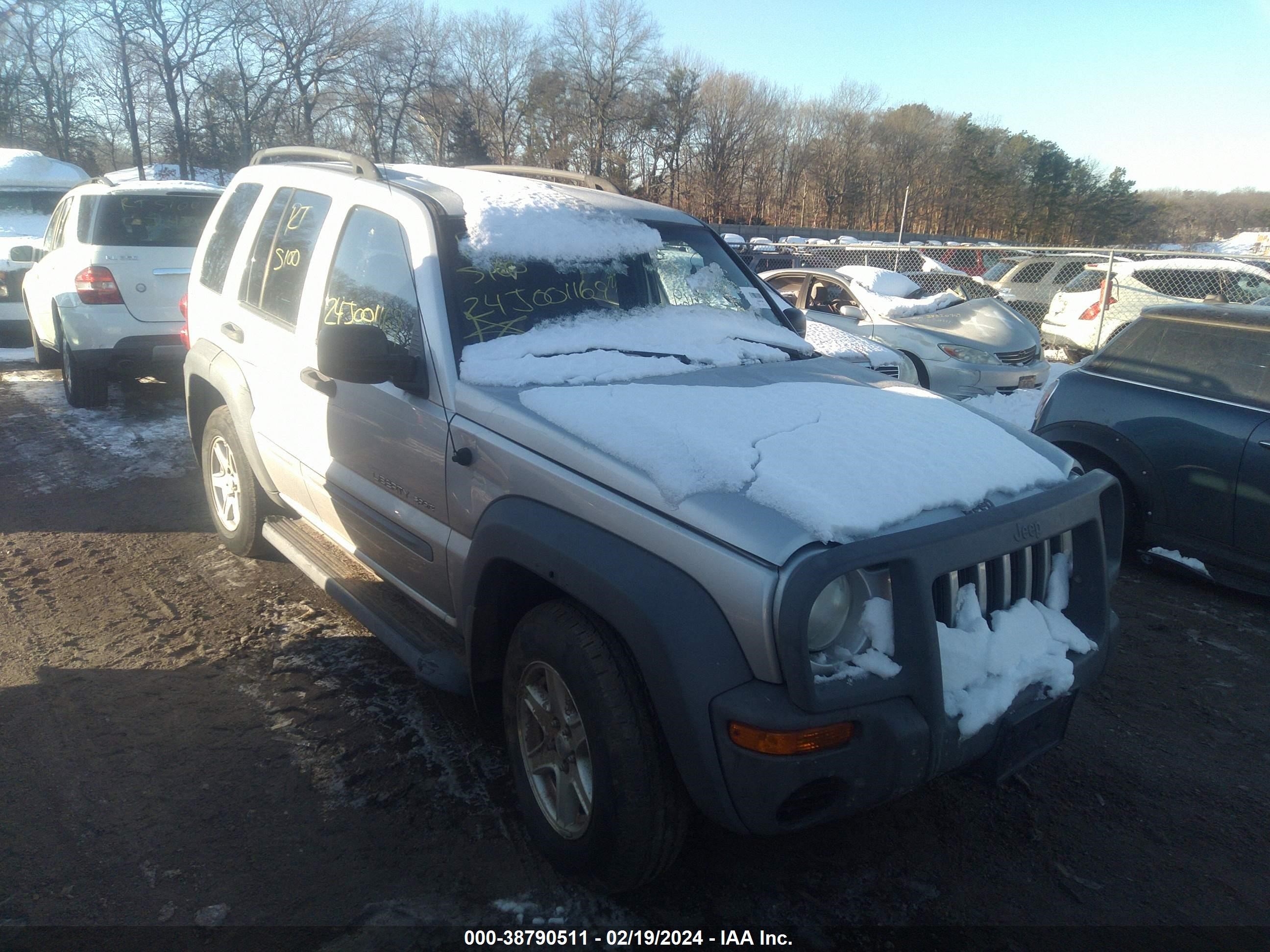 JEEP LIBERTY (NORTH AMERICA) 2002 1j4gl48k62w119104