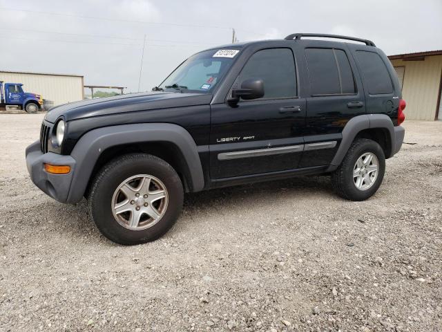 JEEP LIBERTY 2002 1j4gl48k62w200023