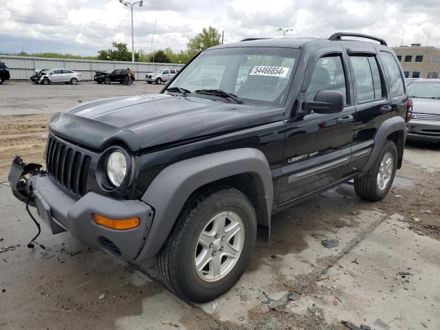 JEEP LIBERTY 2002 1j4gl48k62w260027