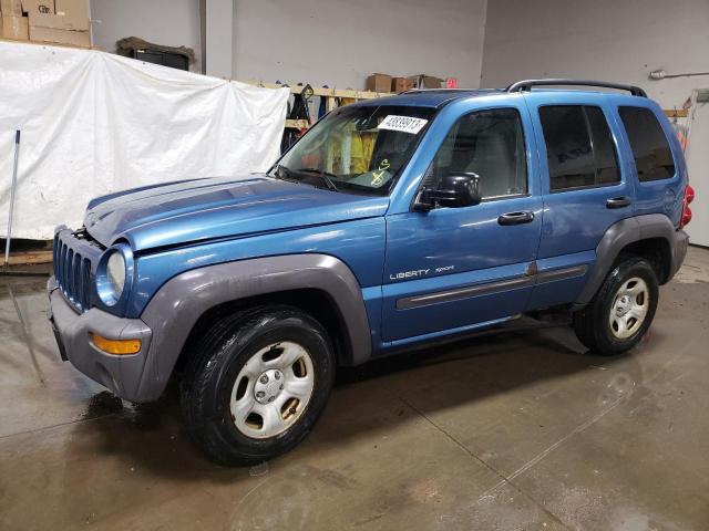 JEEP LIBERTY 2003 1j4gl48k63w700605