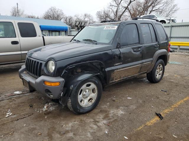 JEEP LIBERTY 2004 1j4gl48k64w114052