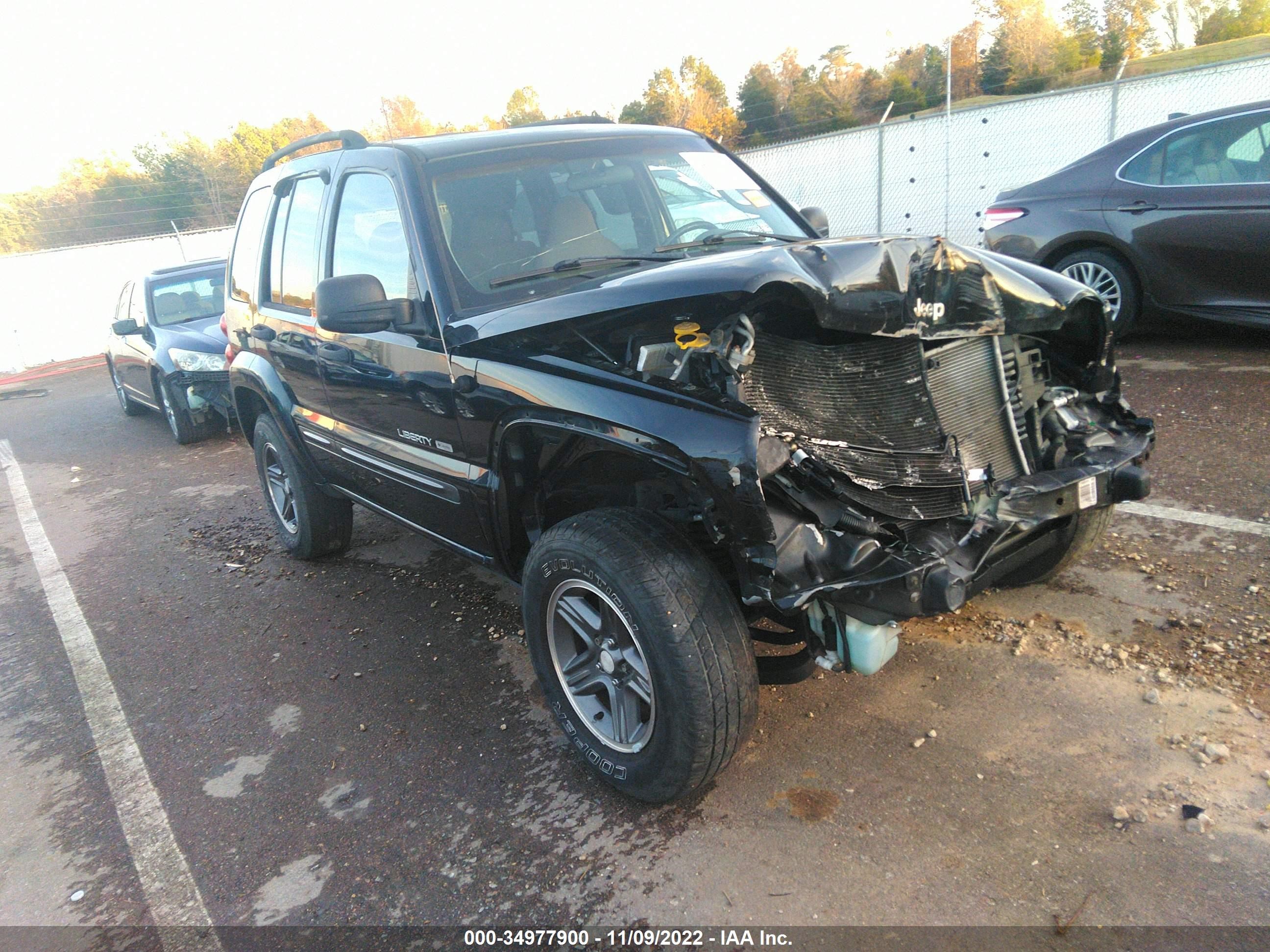 JEEP LIBERTY (NORTH AMERICA) 2004 1j4gl48k64w204074