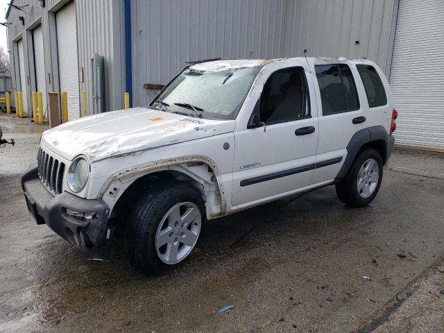 JEEP LIBERTY 2004 1j4gl48k64w259320