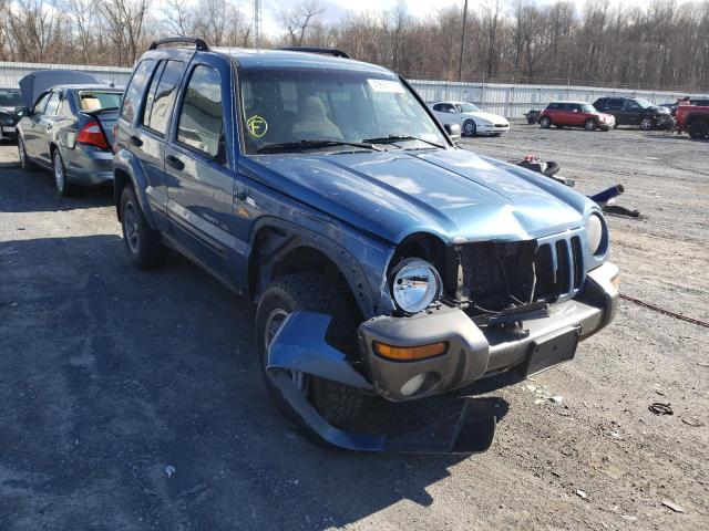 JEEP LIBERTY SP 2004 1j4gl48k64w278899