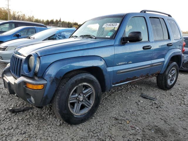 JEEP LIBERTY 2004 1j4gl48k64w293581