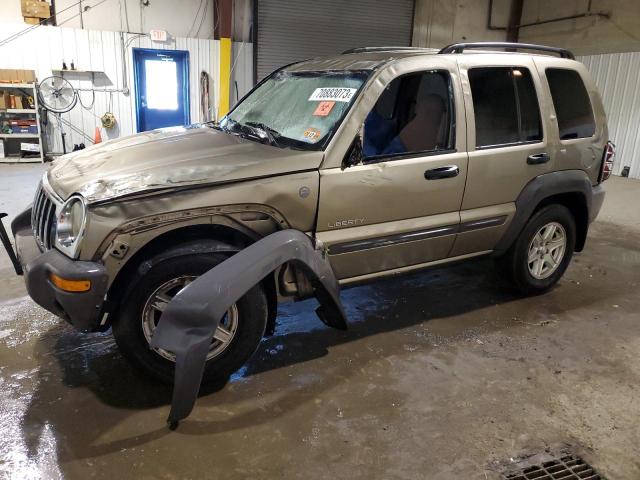 JEEP LIBERTY SP 2004 1j4gl48k64w309035