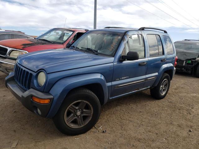 JEEP LIBERTY 2004 1j4gl48k64w310122