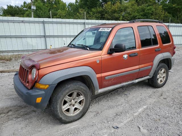 JEEP LIBERTY SP 2005 1j4gl48k65w602645