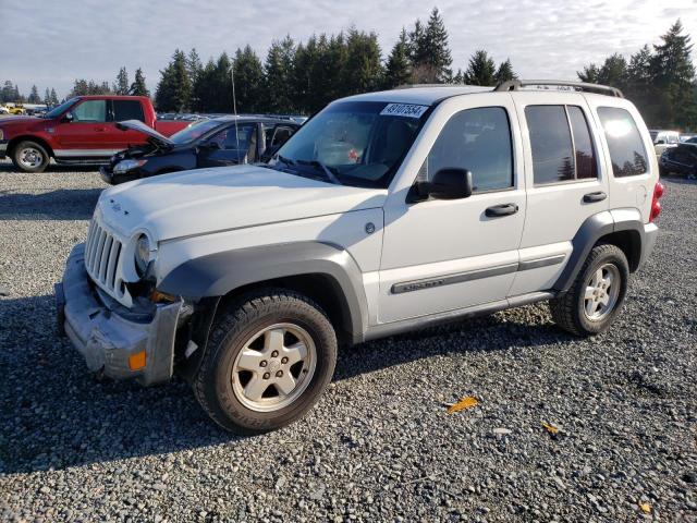 JEEP LIBERTY 2005 1j4gl48k65w620501