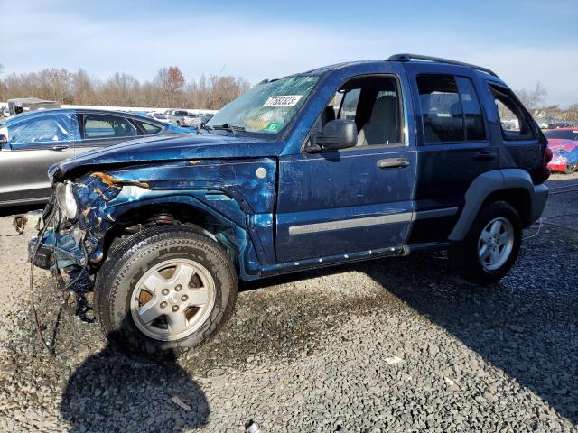 JEEP LIBERTY 2005 1j4gl48k65w652655