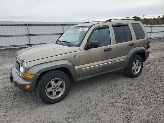 JEEP LIBERTY SP 2006 1j4gl48k66w168700