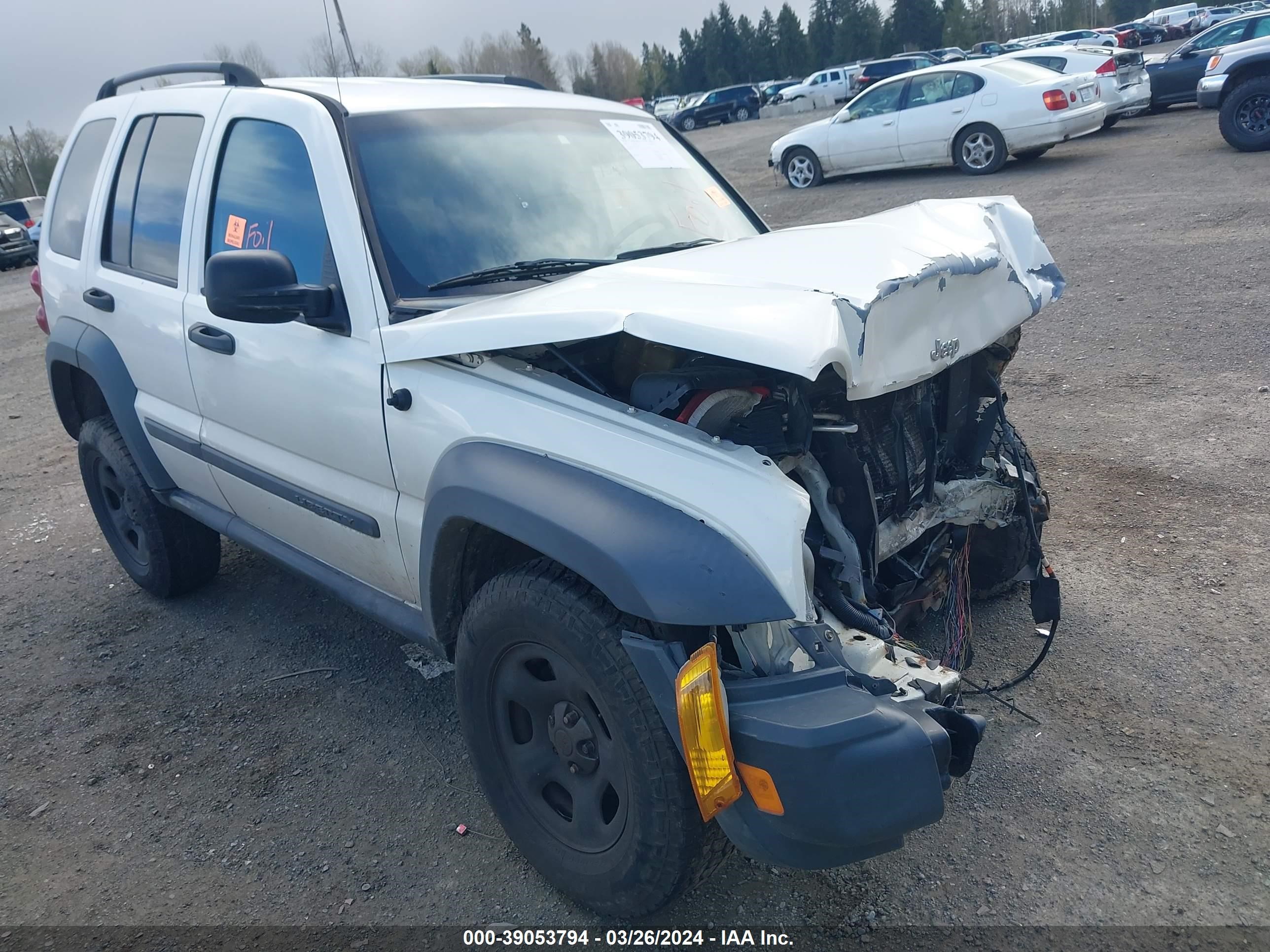 JEEP LIBERTY (NORTH AMERICA) 2006 1j4gl48k66w200576