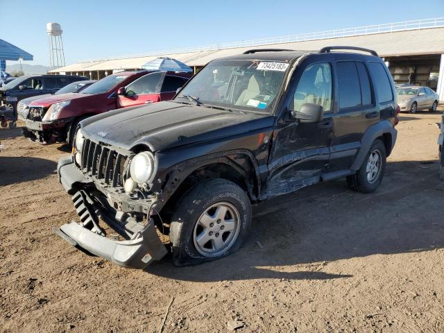 JEEP LIBERTY 2006 1j4gl48k66w229463