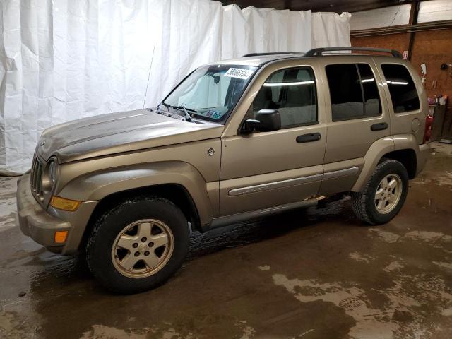 JEEP LIBERTY 2006 1j4gl48k66w232721