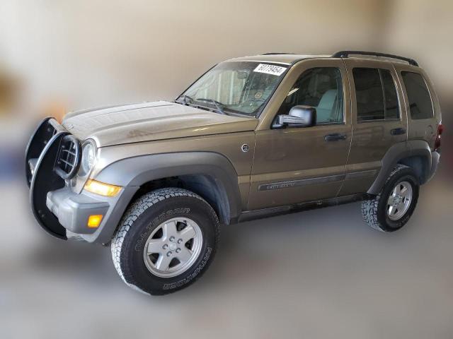 JEEP LIBERTY 2006 1j4gl48k66w244013