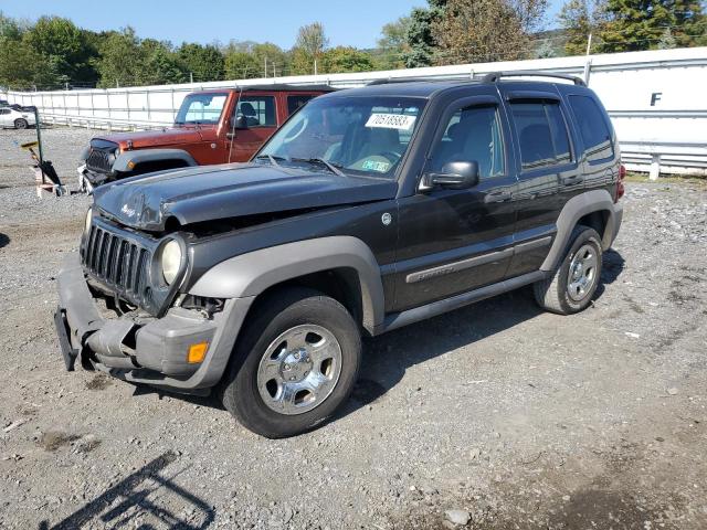 JEEP LIBERTY 2006 1j4gl48k66w290604