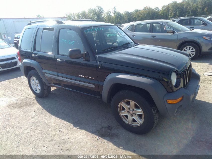 JEEP LIBERTY (NORTH AMERICA) 2002 1j4gl48k72w283025