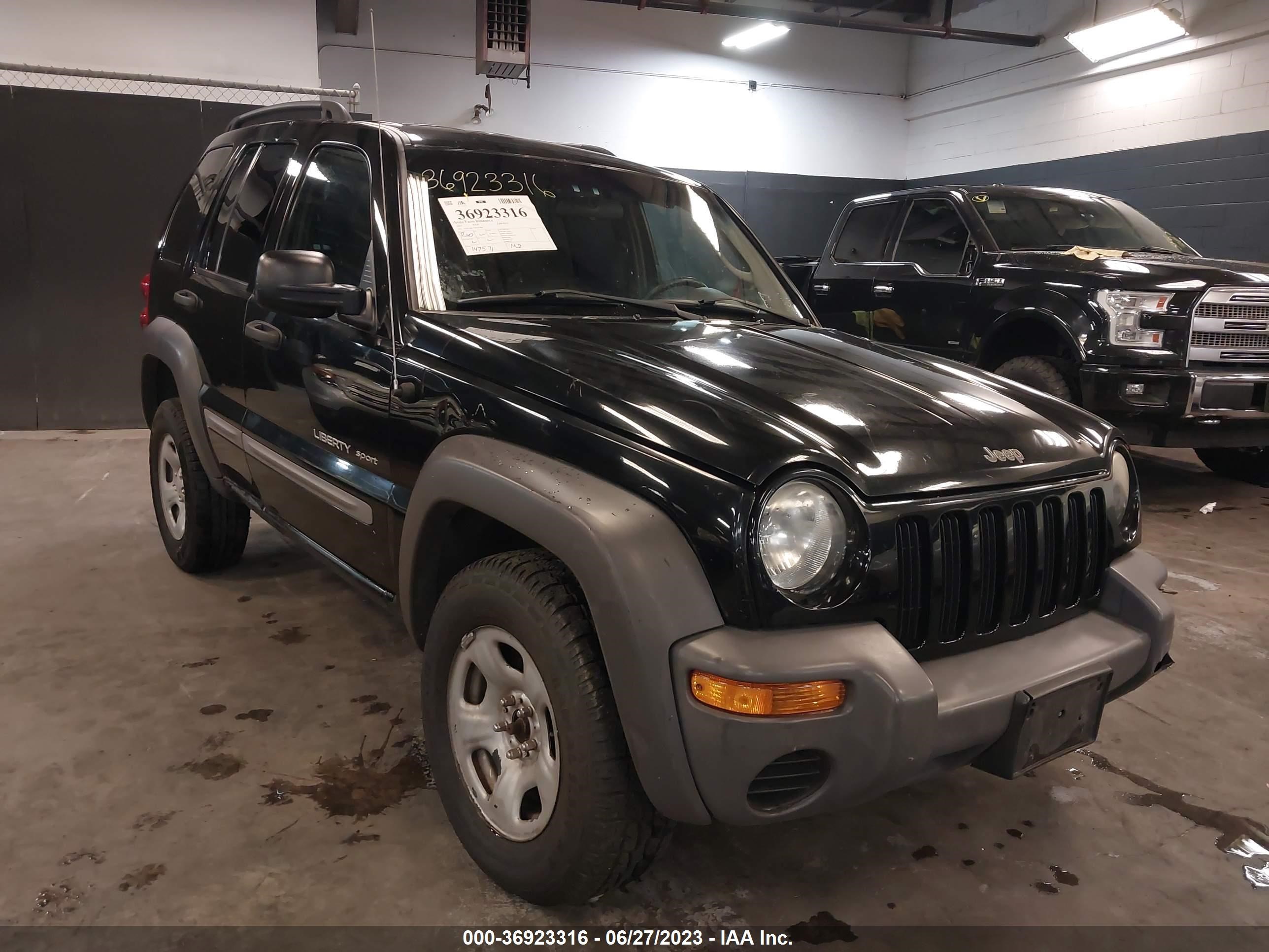 JEEP LIBERTY (NORTH AMERICA) 2003 1j4gl48k73w561469