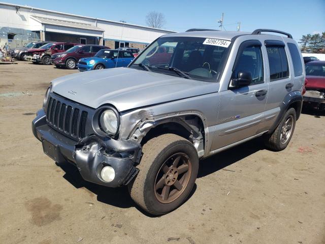 JEEP LIBERTY 2003 1j4gl48k73w664049