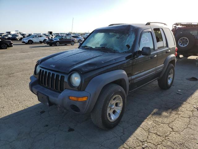 JEEP LIBERTY 2003 1j4gl48k73w693650